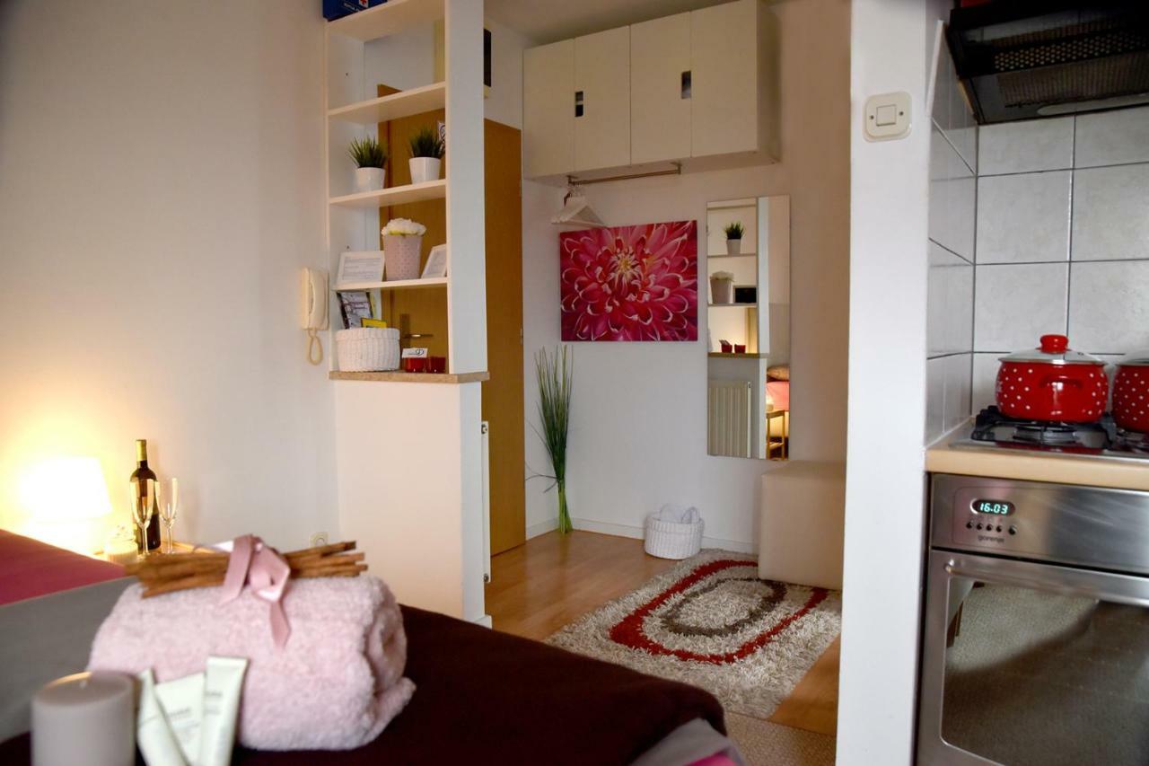 Studio Apartman D Leilighet Sesvete Eksteriør bilde